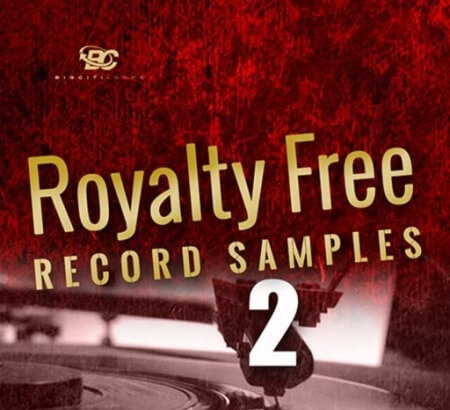 Big Citi Loops Royalty-Free Record Samples Part 2 WAV